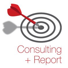 Consulting-Report